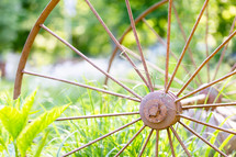 Antique wagon wheel in green garden