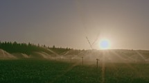 Wide view of many impact sprinklers irrigating a field during sunset