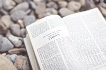 open Bible lying on pebbles - Exodus