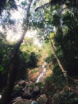 waterfalls and trees in a jungle 
