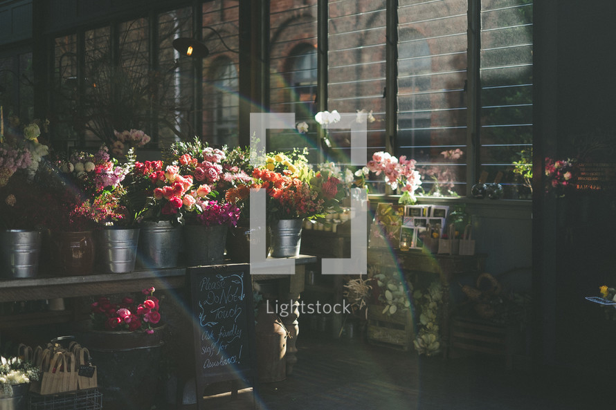 flowers in a flower shop 