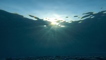 Sunreflection underwater in the ocean
