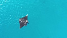 The views of the Archipelago of Komodo in Indonesia has been filmed in April 2023.Find in the Sequence Manta Ray filmed from the SkyThe shots are taken with a drone Mavic AirShot are native 4K30p / edited with DaVinci Resolve