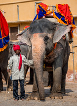 a man with an elephant in India 