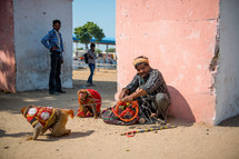 monkeys on a leash in India 