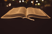 Open Bible in front of Christmas tree