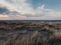 a grassy prairie at sunset