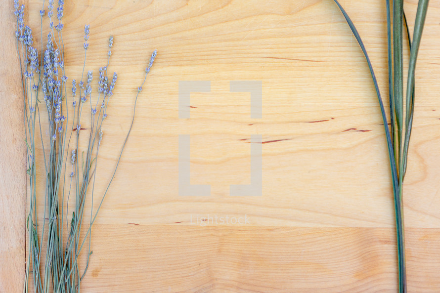 Lavender and herbs on wooden background