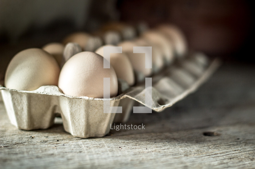 carton of eggs 