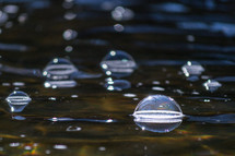 bubbles on a pond 