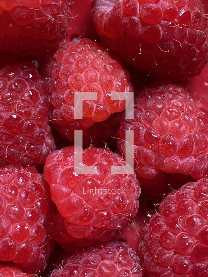 closeup of freshly washed red raspberries with a bit of a red colander showing underneath