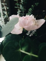 light pink flower arrangement 