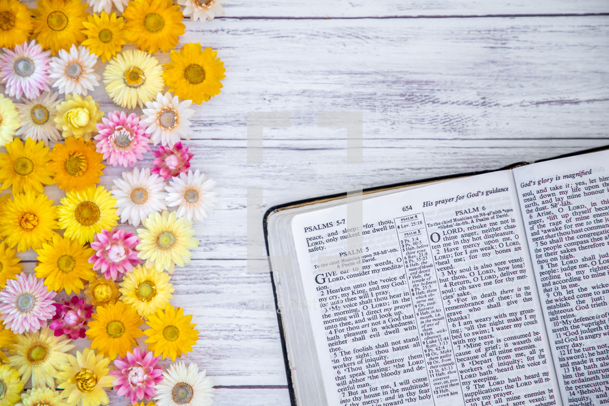 flowers and Bible on a white wood background