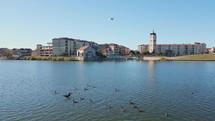Birds on Adriatica Village lake - A small residential neighborhood meant to portray Croatian architecture.