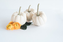white pumpkins and yellow roses on a white background 