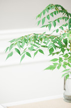 green leaves on branches in a vase 