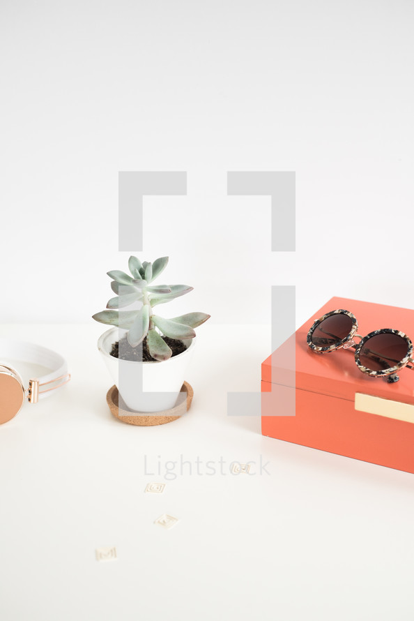 headphones, paper clips, sunglasses, succulent plant, potted plant, box, desk 
