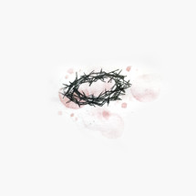 crown of thorns and blood stain