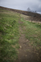 worn path on a green mountainside 