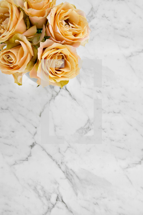 yellow roses on marble 