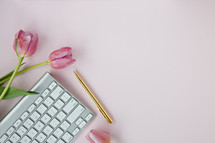 pink tulips on a light pink background and computer keyboard 