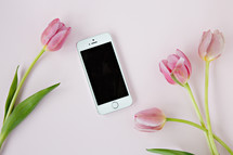 pink tulips on a light pink background with cellphone