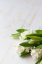 White hyacinth and tulips  