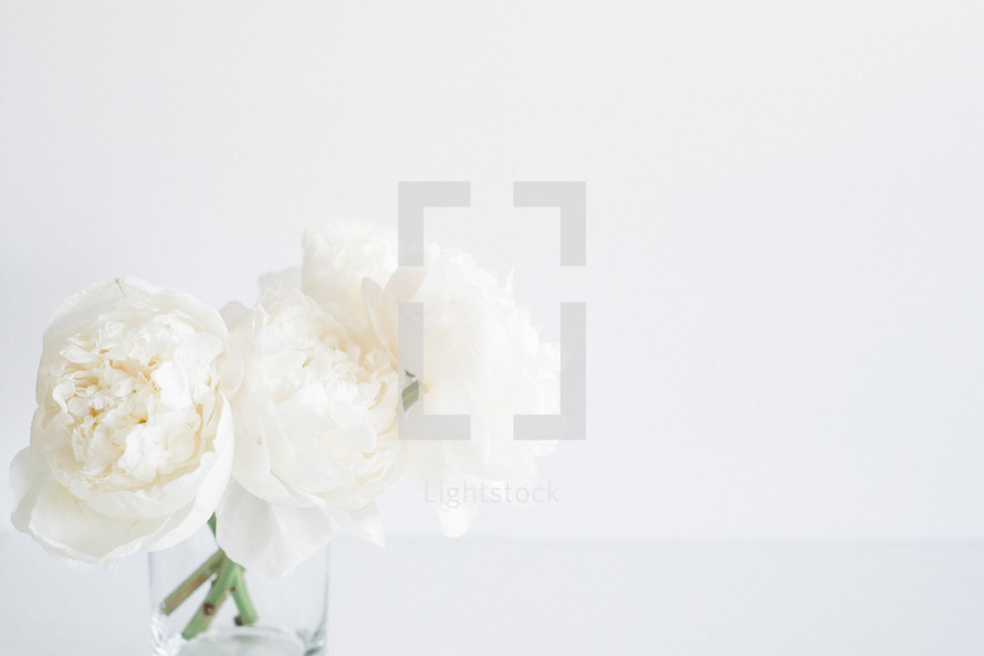 White flowers in a clear vase on a white background.