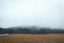 fog over a forest and meadow 