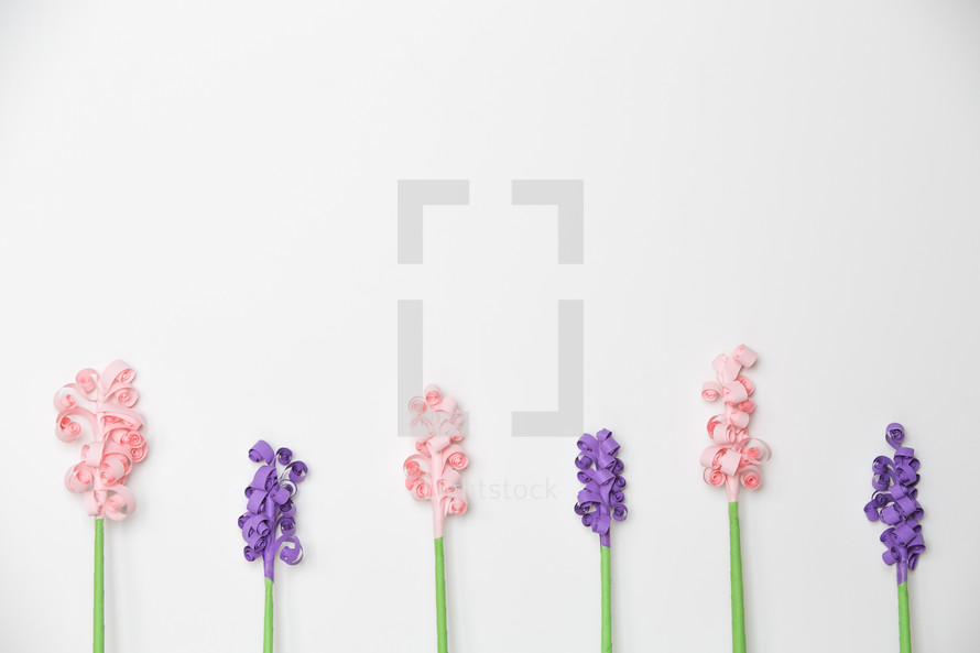 pink and purple flowers on a white background 