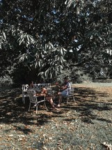 men sitting in chairs in the shade under a tree 