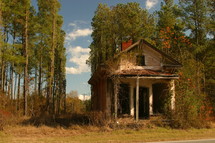 abandoned house in front of tall pines