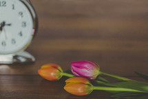 alarm clock and tulips 