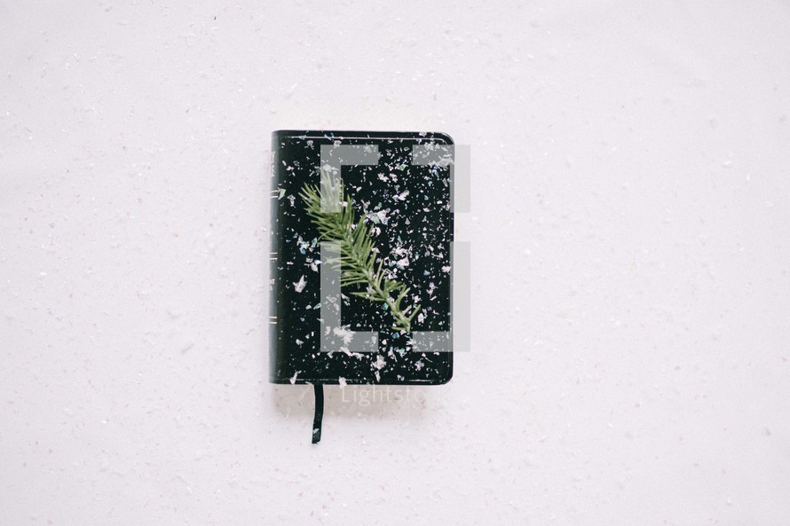 Bible in the snow with a spruce twig 