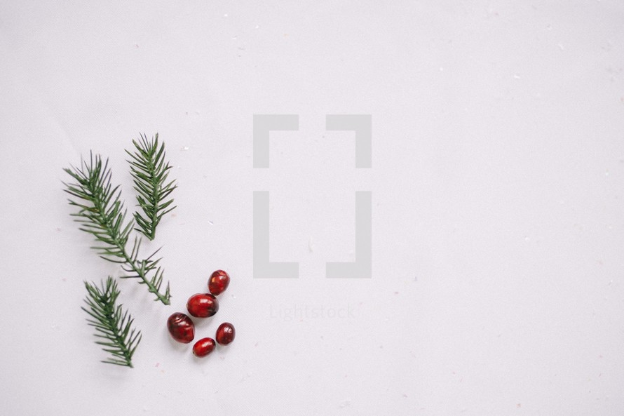 red berries and pine needles in snow