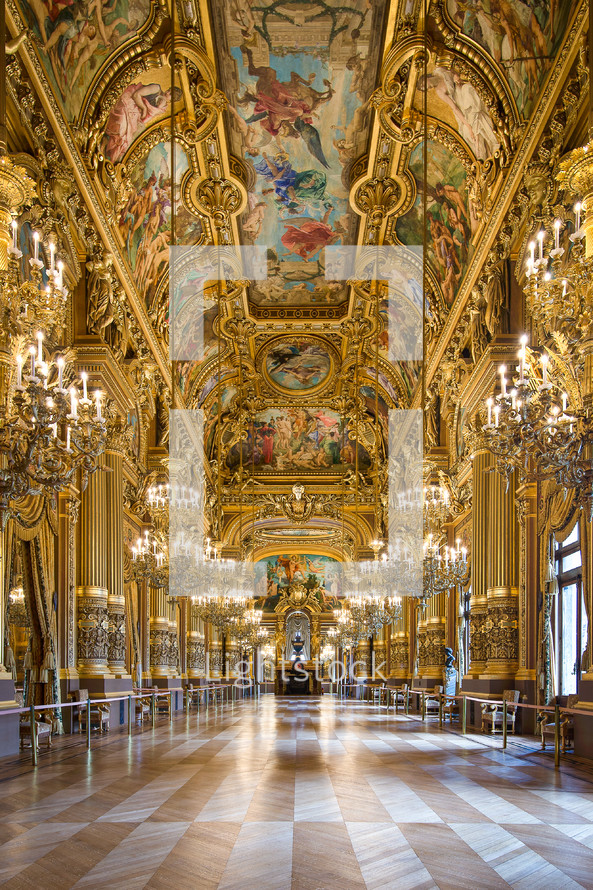 The Gallery of the Palais Garnier 
