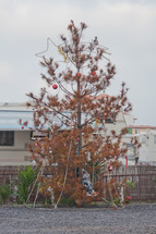 dead decorated Christmas tree in a trailer park Tenerife, Spain