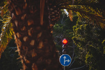 palm tree and street light in Tenerife, Spain