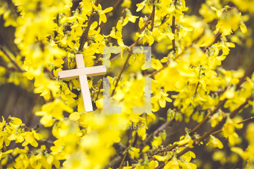 cross in flowers 