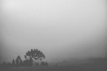 Heavy fog covers a countryside.