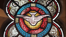The dove of the Holy Spirit descending