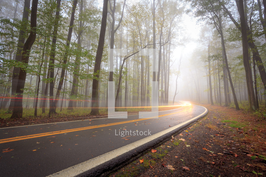 road in the woods traffic time lapse photography