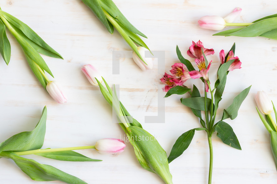  Alstroemeria and pink tulips