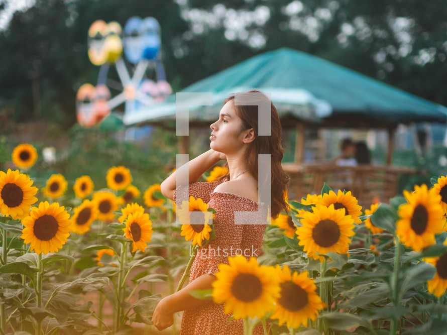 a teen girl in a field of sunflowers 