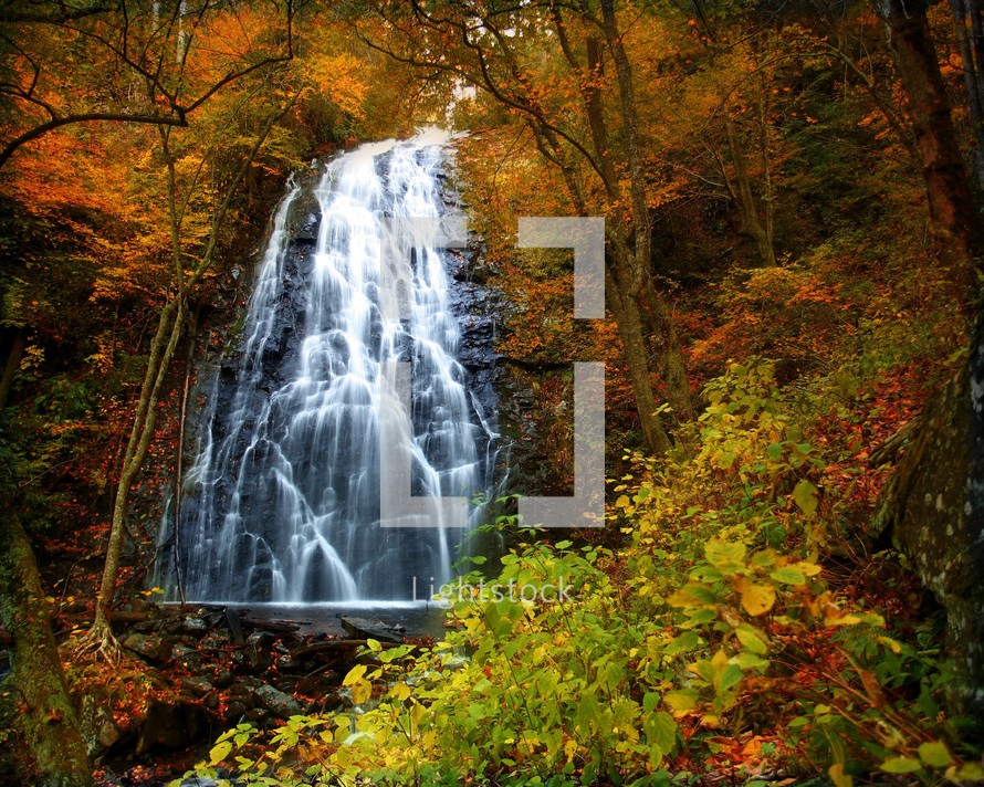 Waterfall in the autumn leaves.