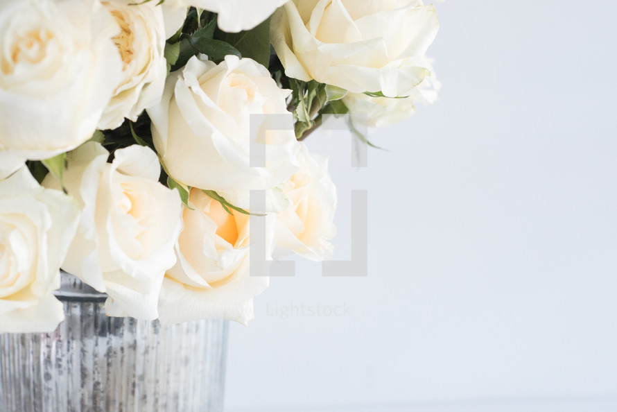 white roses in a metal bucket 