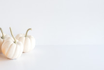 white pumpkins on a white background 