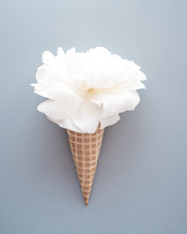 flower in an ice cream cone 
