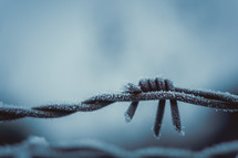 frost on barbed wire 