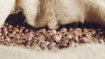 slow motion of coffee beans falling into a large burlap sack